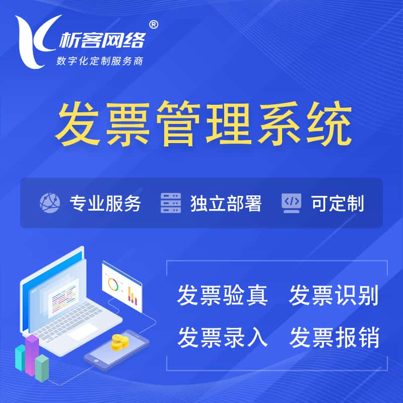 巢湖发票管理系统