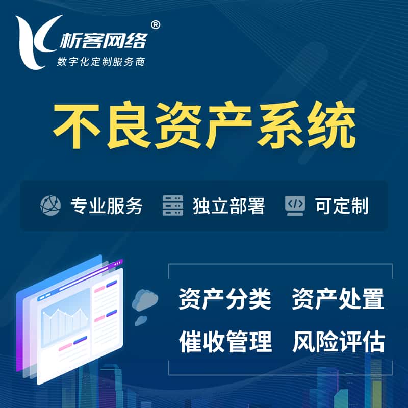 巢湖不良资产管理系统