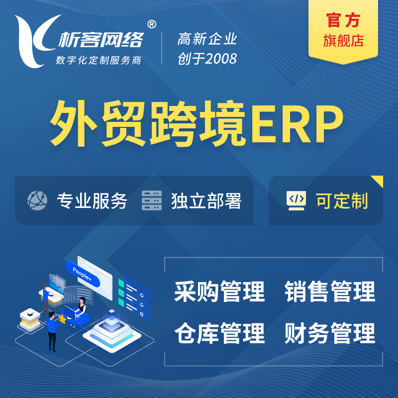 巢湖外贸跨境ERP软件生产海外仓ERP管理系统